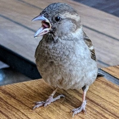 Daniil__V's profile picture. Я ухвалюю складні для себе рішення | ЖИВУ ЖИТТЯ 🌷