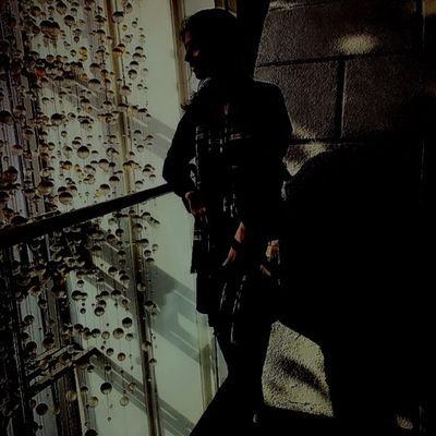 dauntless_r's profile picture. 