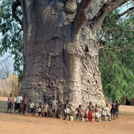 MhdBereir's profile picture. وما النصر الا صبر ساعه 💪🏼