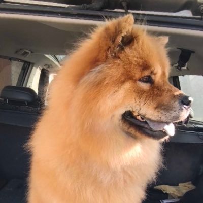 LeJohJoh's profile picture. Passionné de tech & mobilité électrique. Gamer sur MMO & jeux indé. Tesla driver.