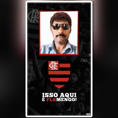 carlaoboemiaofc's profile picture. ⠀FALCÃO E O RENASCIMENTO da FÊNIX 🦅∴