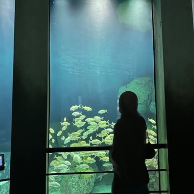 hijabiinerd's profile picture. schizo tweeting into the void