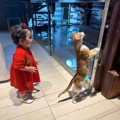 drRema20's profile picture. Dreams without fear, love without limit 🍀 #طبيبة_اطفال 💍💕. Farah mum 🌸💘🌷