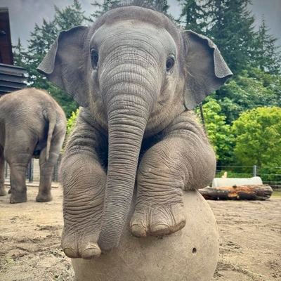 wickedoc's profile picture. Dentist, Farmer, Dreamer, etc