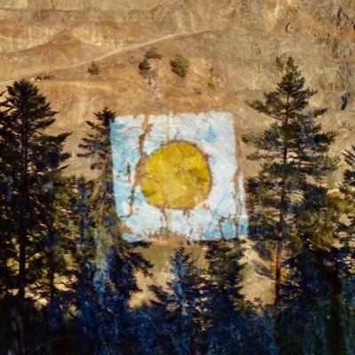 tomi__no's profile picture. 