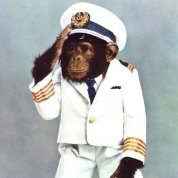 ib_zfo's profile picture. تغريداتي ما تمثلني