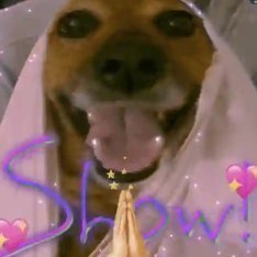 gugares's profile picture. 😨😝🥳😘