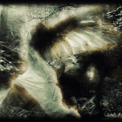 kiwiiw__'s profile picture. i 🩷 cookies and starting off my first impression as something horrendously weird