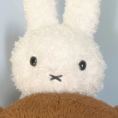 for4nything's profile picture. butterflies turned into tapeworms