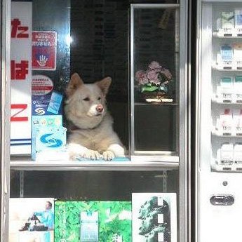 doubleemdee's profile picture. Breadstick enjoyer, occasional player of the fiddle.