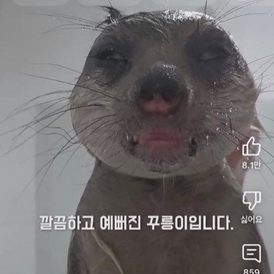 nyangnyang46052's profile picture. 