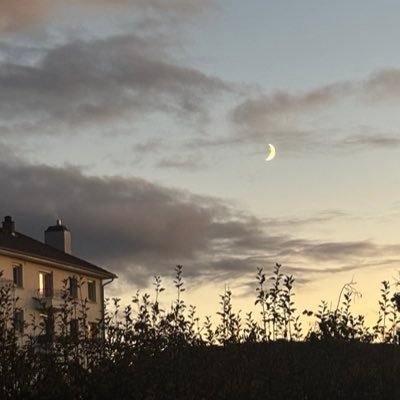 iametudiante's profile picture. 