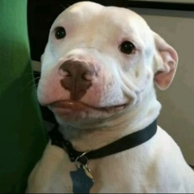 10thltter's profile picture. egress