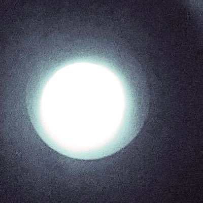 dafuqlatte's profile picture. spongebob band geeks / charles chaplin bir savaşta yitirdim sakalımı / metuphys