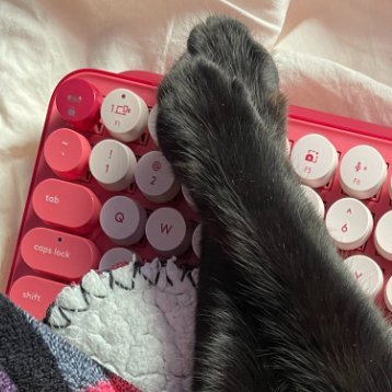 justalexty's profile picture. push notifications off // banner from “Umoja” by Kamau Kamau and Ian Wright