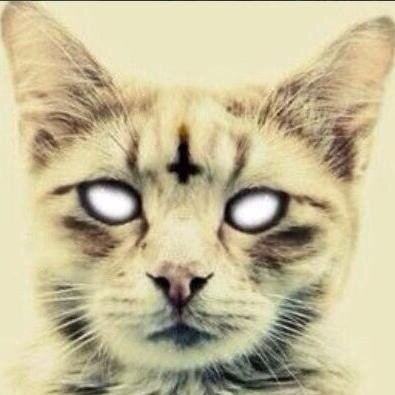 carrier_wave666's profile picture. 