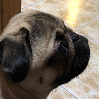 _PuntoCero's profile picture. Believe in something