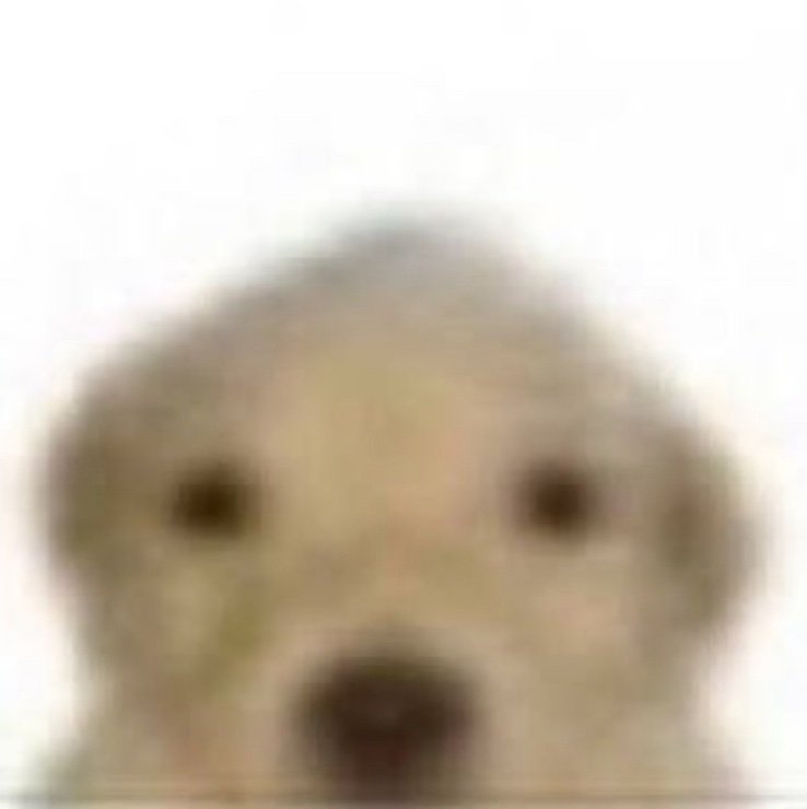 Ronaldoirhw's profile picture. 