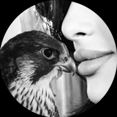 6llllx_'s profile picture. 