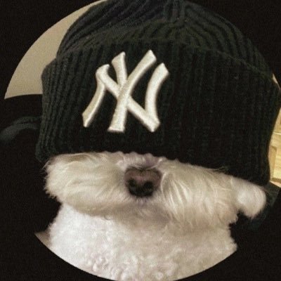 yesitsmeliam's profile picture. SA🇿🇦