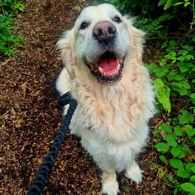 EllieAmyAnya's profile picture. 