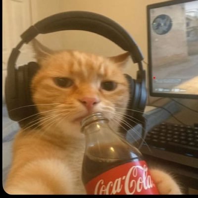 sunshss's profile picture. mainly talking about afc and dramas I’m watching