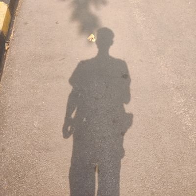 solvingabug404's profile picture. I'm alive