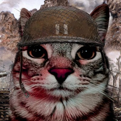 zzzynxbutbetter's profile picture. 