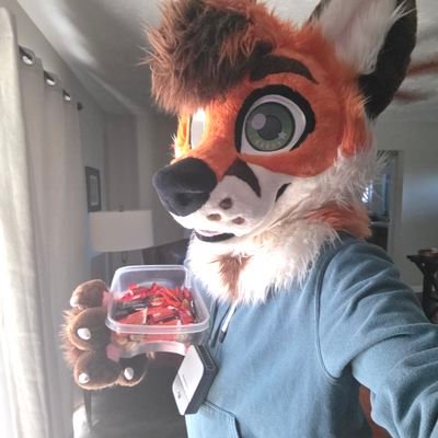 felixianfox's profile picture. 🇻🇦🇺🇸🇨🇺 | Catholic, Electronics Engineer, Artist, Aspiring Writer, Gamer, Fursuiter, Gun Nut, Aerospace Nerd | 🔞 SFW-Only