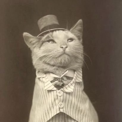 aracevedo11's profile picture. Carne para la picadora.