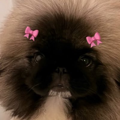 nongfireleaw's profile picture. 