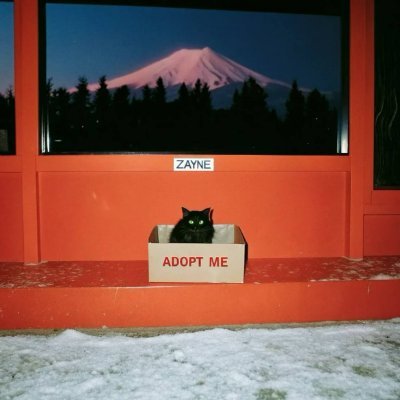 kelly_ssqw's profile picture. Confidence isn't innate; it comes from daring to believe you can do anything, facing difficulties without fear, and moving forward bravely