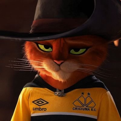 oliveira_a26615's profile picture. Página zoeira do Criciúma 🐯
