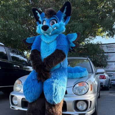 datDumbFolf's profile picture. lvl 25 Winged Folf| Part-Time Kaiju Cabbit| PAN| TF, Paws, Macro| Size May Vary|18+|💙@Willowderg's Big Bloo|✂️:@HeadsAndTailsAZ and @MoreFurLess