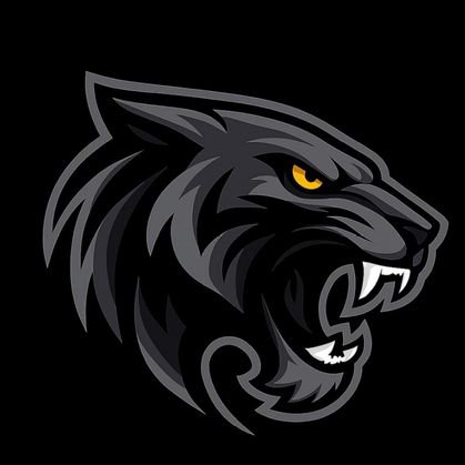 blacktiger0809's profile picture. 