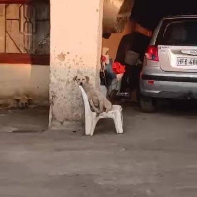 AGeminiOf96's profile picture. Spoil me with loyalty, I can finance myself.
A true ♊
Ka Bo Yellow Masandawana 💛💙
A Citizen 🩵