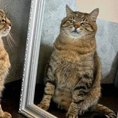 Aethera_ss's profile picture. 