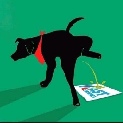 Ingrelena77's profile picture. WallMapu Libre
Palestina Libre 
🚲 👣🌳🌿🍃 🎶