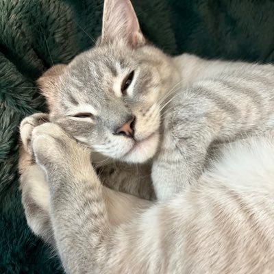 ClaneSZN's profile picture. Prev Apex Pro @XSET & @NativeGaming | ball knower