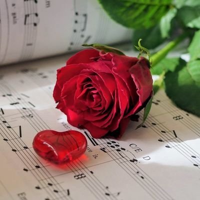 JamesChris24292's profile picture. 