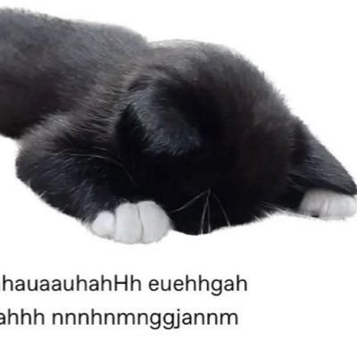 miaushane's profile picture. *ੈ✩‧₊˚༺☆༻*ੈ✩‧₊˚ hincha de frank ocean y charli xcx