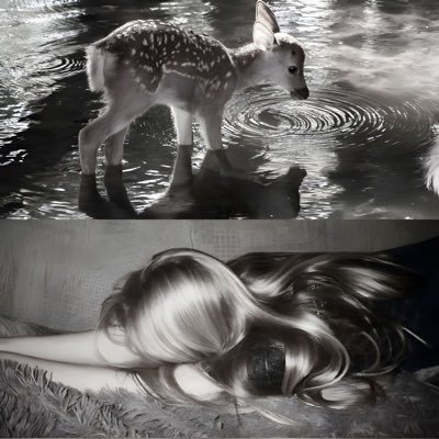 amoliena's profile picture. ᛝ katana user