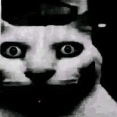 pakgga220's profile picture. uniting afghans, pakis , bengalis 

12/55kg/5'5