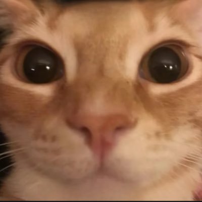 JoNasTheHott's profile picture. 