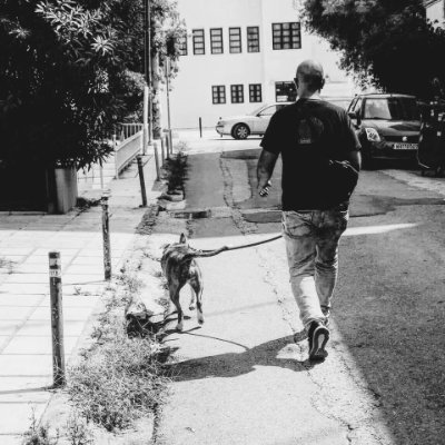 BenakisM's profile picture. Frankly, my dear, I don't give a damn