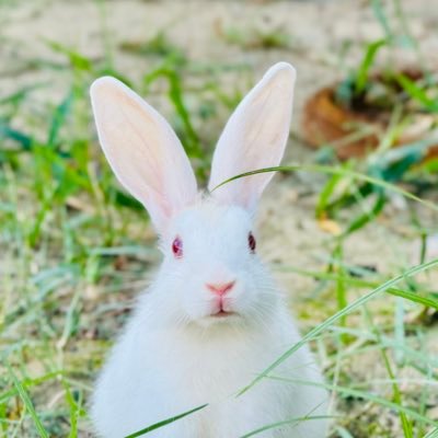 pdamnoah's profile picture. 