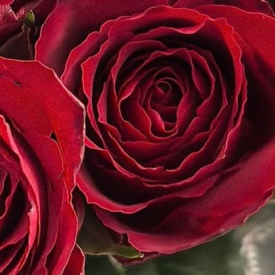 ukhti_fi_llayl's profile picture. 