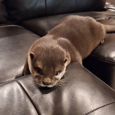 darling_sea's profile picture. Dog lover🐕‍🦺🐕🐩 The world is so big, I want to travel✈️🛳️🏔️🏝️🗾 Enjoy the free sun and air every day🌞 Coffee lover☕ Fashion industry, love red wine🍷🍷