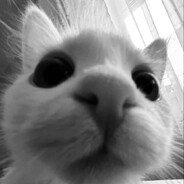 Kell3rCS's profile picture. 20🇩🇰