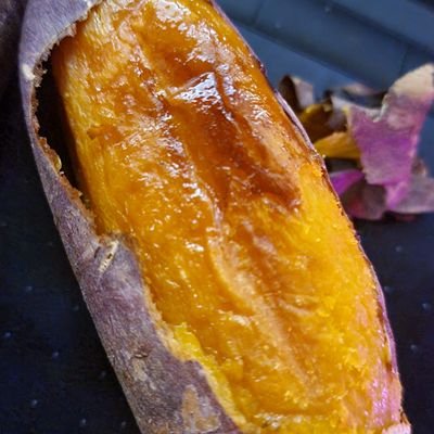 FF_Ruote's profile picture. 루오테@카벙클 / 🎲TRPG🐙 (Team 큰.코. 🏢)
성인
M) https://t.co/qOYWRpH6M7
- ̗̀𖤐 ̖́- ･ﾟ✧*:･ﾟ✧